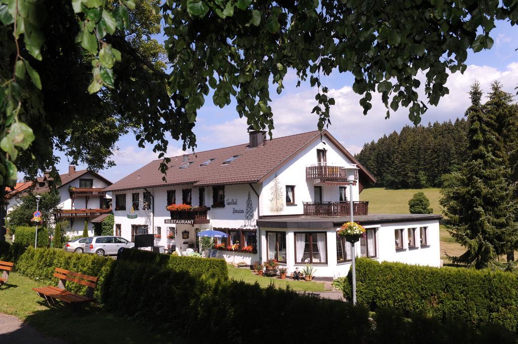 Gasthof Schwarzwaldtanne Шенвальд Екстер'єр фото