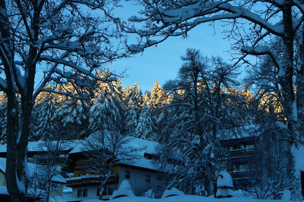Gasthof Schwarzwaldtanne Шенвальд Екстер'єр фото