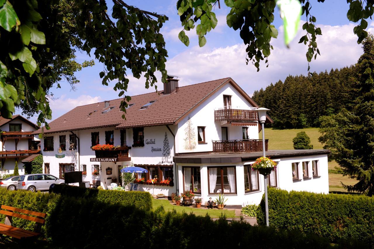 Gasthof Schwarzwaldtanne Шенвальд Екстер'єр фото